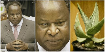 Land restitution: Falling back on old elites and entrenching corruption