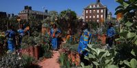 Members of the Ghanaian Methodist Fellowship Choir view the World Child Cancer's Nurturing Garden at Chelsea Flower Show, in London, Britain, May 20, 2024. REUTERS/Toby Melville