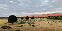 Zambezi Valley Escarpment… drinks time! Photographer: Martin Scholtz