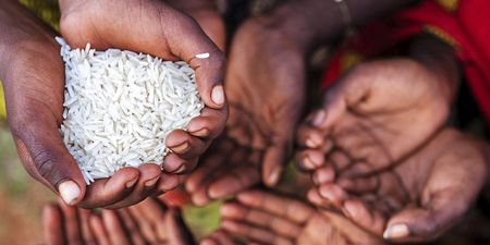 Climate crisis exacerbates food insecurity, plan to overcome it remains dormant