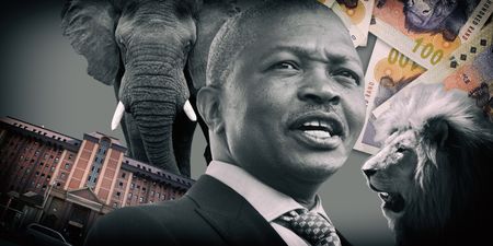 Dead Matter (Part Two): The lion, the conservationist and South Africa's future deputy president