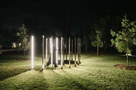 Spier Light Art – experiences unique to every night and every visitor