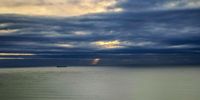 Glimmers of Dawn. Photographer: Ndabenhle Sosibo</p>
<p>P4U_readersubmission_20250411