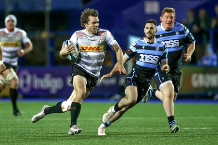 Stormers continue to defy odds as URC heavyweights despite uncertain future