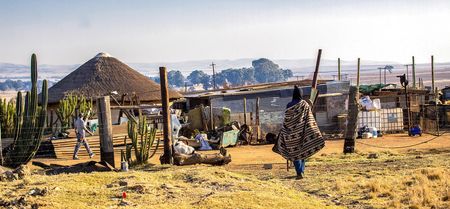 The Ingonyama judgment: Why the state must heed court orders to halt dispossession and deliver land rights