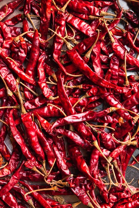 Why some like it hot: The science of spiciness