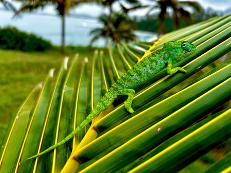 I have a picture for you! 19 April-25 April 2025