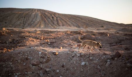 GroundUp: Rough diamonds, Part 2 – ‘We held onto De Beers, but De Beers drifted away’