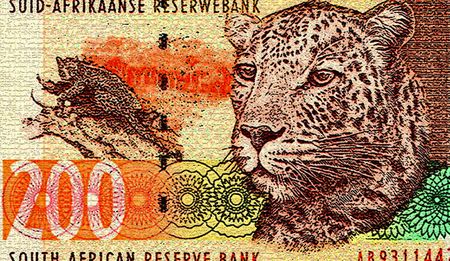 Warlords, warriors and the systemic threat to the SAPS and South Africa: Just another day in life of Scopa