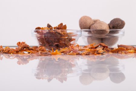 Amazing Mace: Come home, all is forgiven