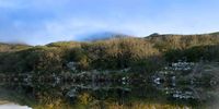 A misty morning at Silvermine Dam, Table Mountain range: a time for reflection. Photographer: Martin Fennell, Noordhoek