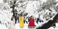Tourists wearing Korean traditional Hanbok dresses take pictures amid snowfall at the Gyeongbokgung Palace in Seoul, South Korea, 27 November 2024.  EPA-EFE/JEON HEON-KYUN