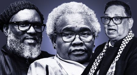 More members of executive implicated in Department of Social Development fallout
