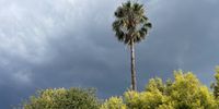 Waiting for the storm. Photographer: Jessica Trusler