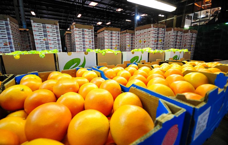 SA’s 2024 citrus export estimates slashed to below 2023 record