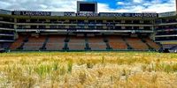 WP rugby