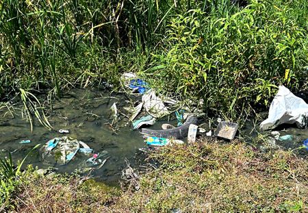 Stakeholders demand accountability over contaminated vlei at a Cape ...
