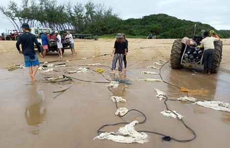 Illegal fish aggregating device use ups stakes for South African marine life and ecosystems