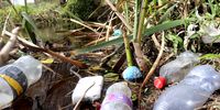 A close up of plastic bottles, styrofoam, and a gender reveal balloon "It's a boy" floating in the Liesbeek River on 30 July 2024. The Friends of the Liesbeek, a community group, regularly deals with everyday pollution into the river. As a means to reduce the issue, the Friend group generates public awareness and community involvement in the welfare of the river by arranging talks, walks and displays on the river. (Photo: Kristin Engel)