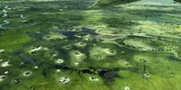 Okavango from the air before the floods. Photographer: Dieter Sellmeyer