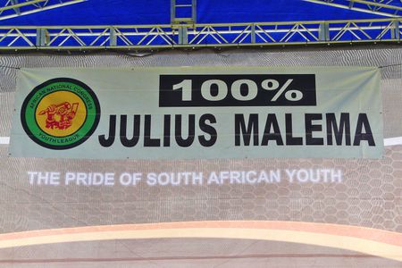 Analysis: Youth League's spectacular belly-flop over mundane ANC update