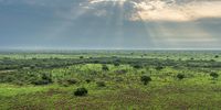One of Earth’s greatest wildlife miracles just got a World Heritage boost