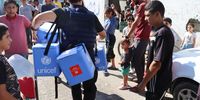 Polio vaccine doses delivered in Gaza. Photographer: Themba Linden