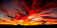 Albertus Ziervogel<br>Klein Karoo Sunset - On Fire<br>Oudtshoorn