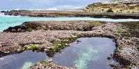Gorgeous swimming potholes on the 5-day Whale Trail in De Hoop Nature Reserve. Photographer: Jacqueline van Meygaarden