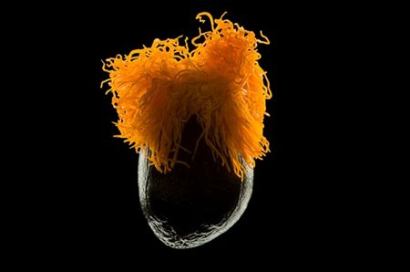 The art of science in the small