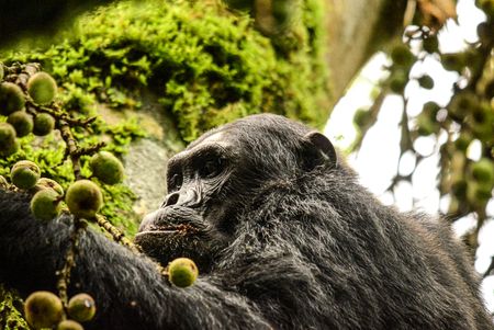 Return to Rwanda — a journey beyond the past