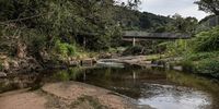 The Palmiet Nature Reserve, upstream of the Quarry Road settlement. Natural river systems help to reduce flood risk and damage, and when<br>rivers are healthy, water quality is better. (Photo: Paul Botes)