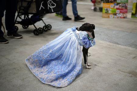 Our World in pictures: Week 13 of 2021