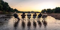 Sundowners in the Luvuvhu River. Photographer: Craig Rivett</p>
<p>P4U_readersubmission_20250530