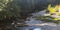 Fellow pilgrims swimming and resting in the shade next to a stream halfway between Zubiri and Pamplona, Spain, 24 August 2023. (Photo: Pauli van Wyk)