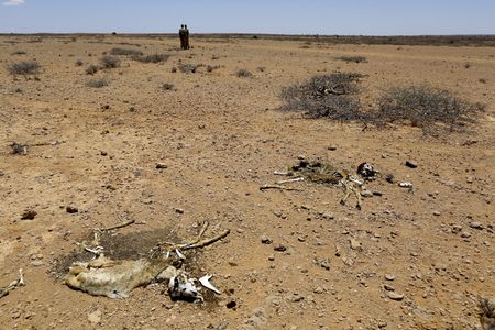 Climate change accelerating urban migration across Africa while placing increasing pressure on congested cities