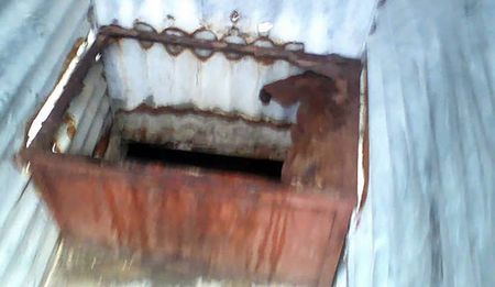 The indignity of pit toilet deaths: Michael Komape in 2014, now Lumka Mkhethwa