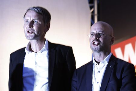 Germany designates radical wing of far-right AfD as "extremist entity"