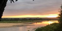 Letaba Morning