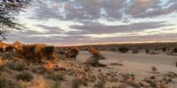 Kalahari sunset. Photographer: Connie Meyer