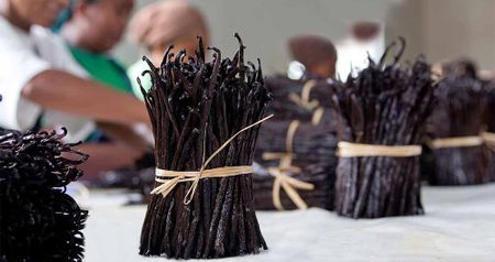 Madagascar’s vanilla industry has become a magnet for corruption, money laundering and criminality