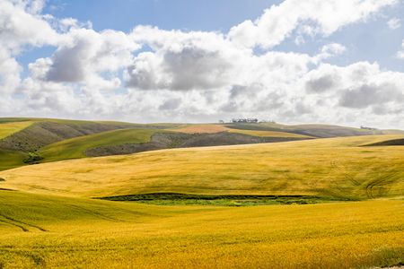 Overberg gold mining fears allayed for now as Cienth misses Environmental Impact Assessment deadline