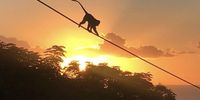 Walking the tight rope-Tongaat Beach, KZN North Coast, RSA. Photographer: Pravesh Babulal