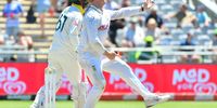 Proteas fight