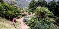 Parliament shines the spotlight on Kirstenbosch’s hidden decline