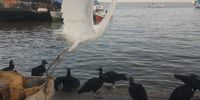 Dawn in the docks of Belem do Para, a city in the mouth of the Amazon River in Brazil. Photographer: Elizabeth Kruger