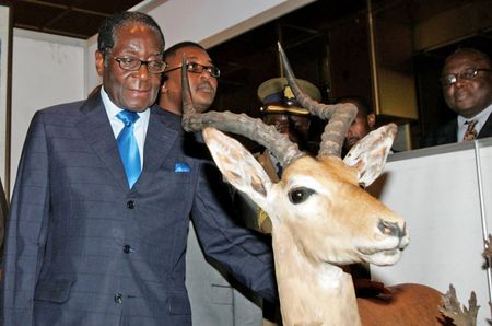 02 March: Zimbabwe’s indigenisation law for foreign-owned companies kicks in