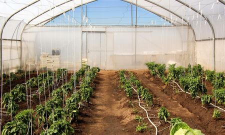Reiger Park school empowers young women to break agricultural stereotypes