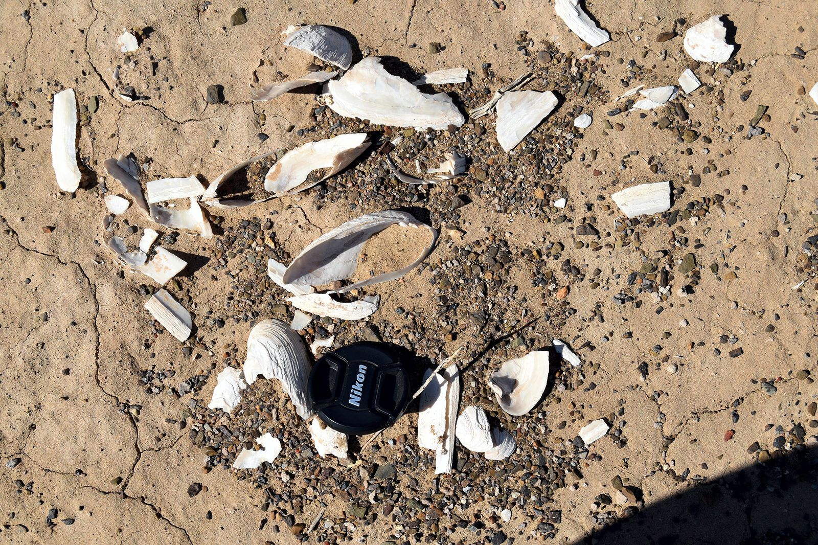 South Africa’s changing climate — ancient Stone and Ice Age signals