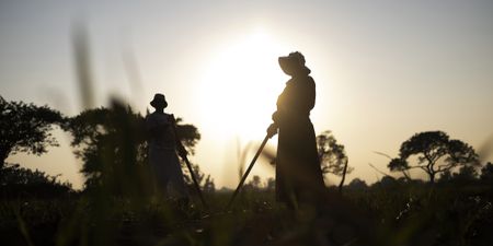 Farming in SA hobbled by power cuts and poor roads leaving rural towns hardest hit